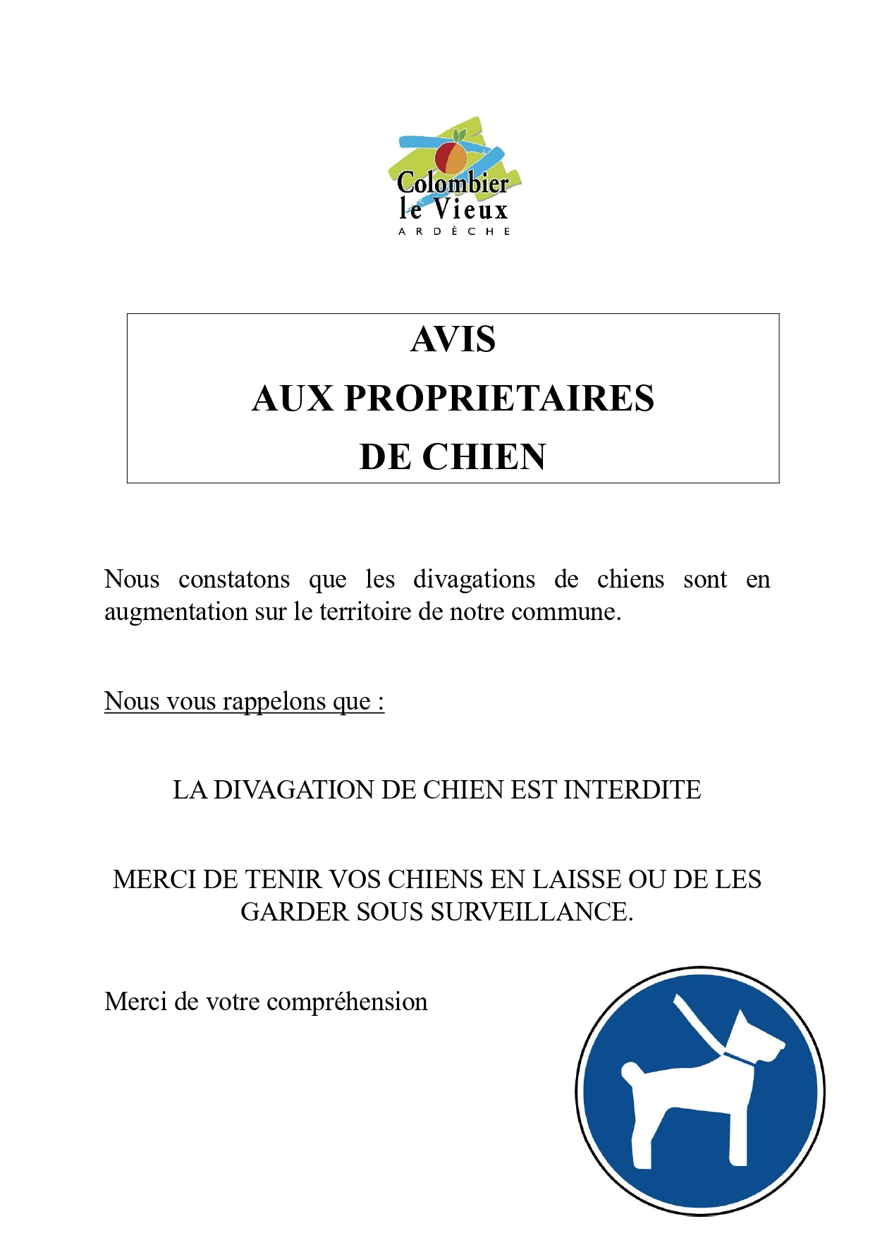 2023.chien errants